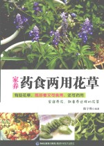 家养药食两用花草