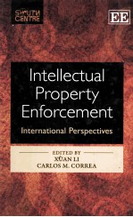 Intellectual Property Enforcement International Perspectives