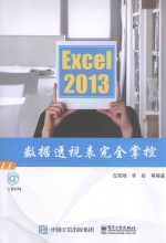 Excel 2013数据透视表完全掌控