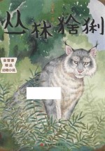 丛林猞猁