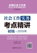 社会工作实务（初级）2019年考点精讲