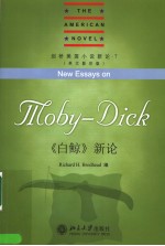 NEW ESSAYS ON MOBY-DICK