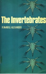 THE INVERTEBRATES