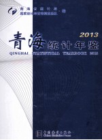 青海统计年鉴  2013