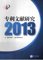 专利文献研究  2013