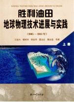 胜利油田地球物理技术进展与实践  2005-2011年