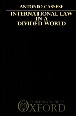 INTERNATIONAL LAW IN A DIVIDED WORLD