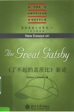 NEW ESSAYS ON THE GREAT GATSBY