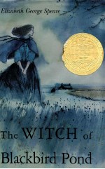 THE WITCH OF BLACKBIRD POND