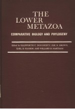 THE LOWER METAZOA COMPARATIVE BIOLOGY AND PHYLOGENY