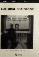 CULTURAL SOCIOLOGY