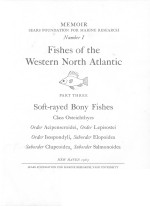 FISHES OF THE WESTERN NORTH ATLANTIC PART THREE