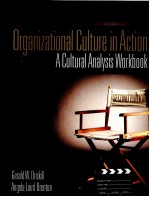 ORGANIZATIONAL CULTURE IN ACTION:A CULTURAL ANALYSIS WORKBOOK SECOND EDITION