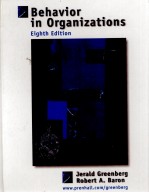 BEHAVIOR IN ORGANIZATION:UNDERSTANDING AND MANAGING THE HUMAN SIDE OF WORK EIGHTH EDITION