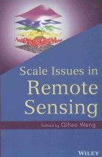 SCALE ISSUES IN REMOTE SENSING