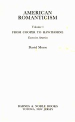 AMERICAN ROMANTICISM VOLUME 1 FROM COOPER TO HAWTHORNE