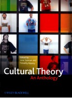 CULTURAL THEORY AN ANTHOLOGY