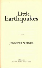 LITTLE EARTHQUAKES