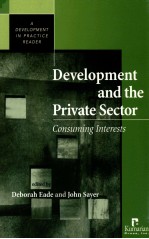 DEVELOPMENT AND THE PRIVATE SECTOR