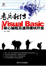 老兵新传  Visual Basic核心编程及通用模块开发