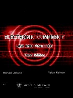 ELECTRONIC COMMERCE LAW AND PRACTICE THIRD EDITION