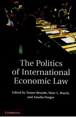 THE POLITICS OF INTERNATIONAL ECONOMIC LAW