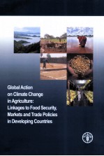 GLOBAL ACTION ON CLIMATE CHANGE IN AGRICULTURE:LINKAGES TO FOOD SECURITY