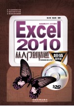 Excel 2010从入门到精通  超值案例版