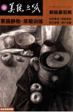 美院之路新临摹范例  素描静物·常规训练