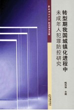 转型期我国城镇化进程中未成年人犯罪防控研究