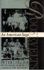 THE ROOSEVELTS AN AMERICAN SAGA