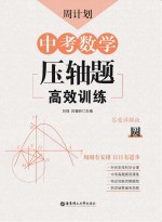 周计划  中考数学压轴题高效训练  圆