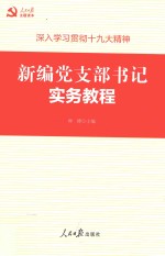 新编党支部书记实务教程