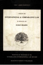 ESSAYS ON INTERNATIONAL & COMPARATIVE LAW