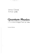 QUANTUM PHYSICS：A FUNCTIONAL INTEGRAL POINT OF VIEW  SECOND EDITION