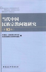 当代中国民族宗教问题研究  第10集