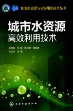 城市水资源与节约用水技术丛书  城市水资源高效利用技术