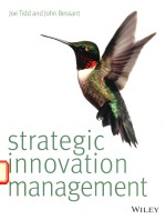 STRATEGIC INNOVATION MANAGEMENT