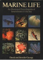 MARINE LIFE：AN ILLUSTRATED ENCYCLOPEDIA OF INVERTEBRATES IN THE SEA