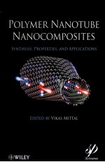 Polymer Nanotube Nanocomposites Synthesis