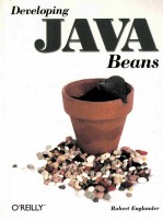 DEVELOPING JAVA BEANS