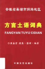 方言土语词典  安徽省巢湖市烔炀地区