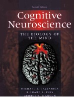 COGNITIVE NEUROSCIENCE THE BIOLOGY OF THE MIND SECOND EDITION