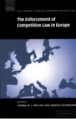 THE ENFORCEMENT OF COMPETITION LAW IN EUROPE