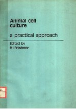 ANIMAL CELL CULTURE  A PRACTICAL APPROACH