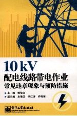 10kV配电线路带电作业常见违章现象与预防措施