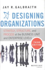 DESIGNING ORGANIZATIONS STRATEGY