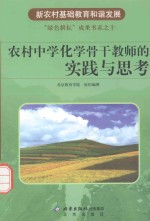 农村中学化学骨干教师的实践与思考