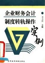 企业财务会计制度转轨操作实例