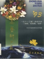 中华艺术之花  1993